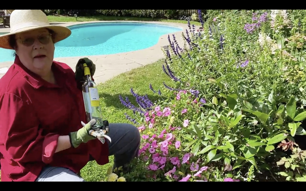 MARGO MARTINDALE Photo