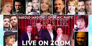 BWW Review: HAROLD SANDITEN'S OPEN MIC PARTY Festively Opens Hearts Photo