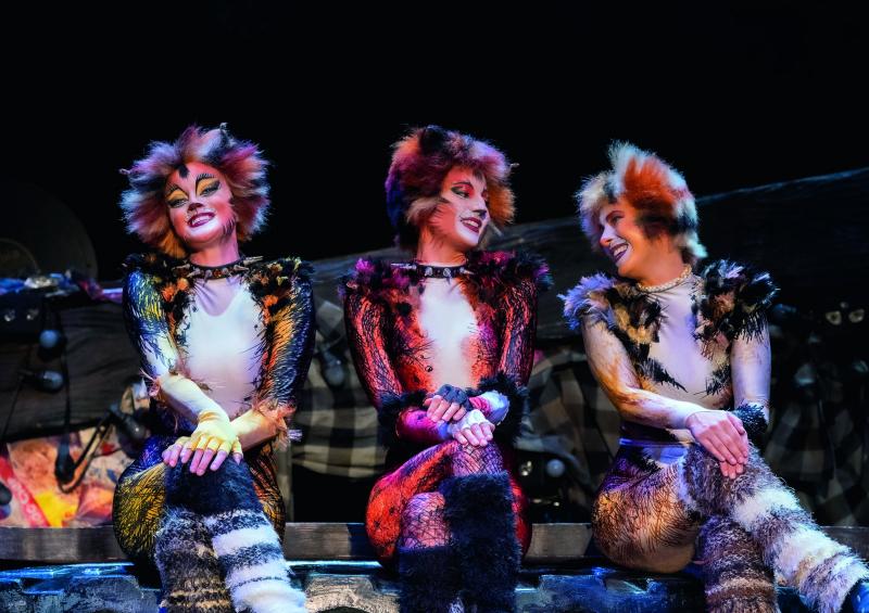 Review: CATS at RONACHER THEATRE  Image