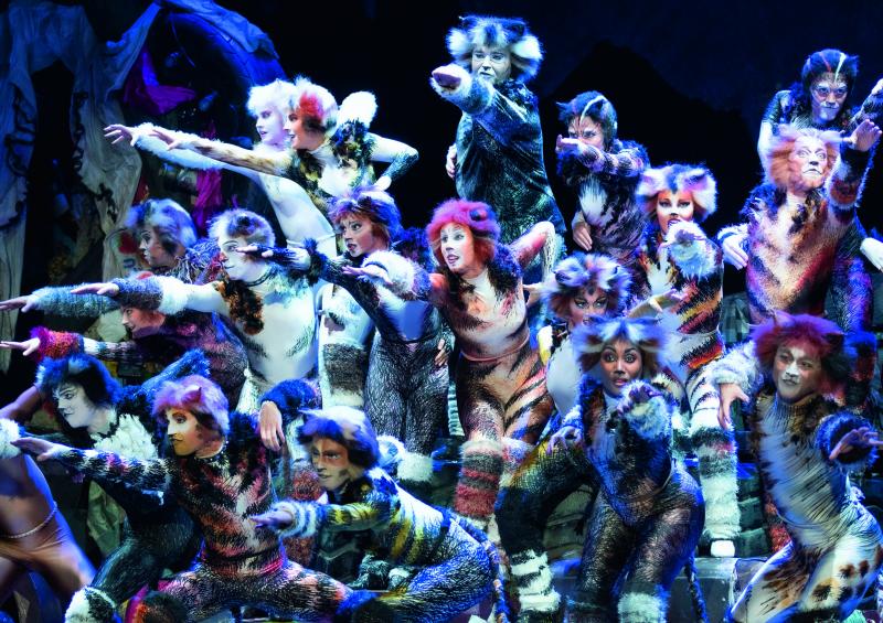 Review: CATS at RONACHER THEATRE Image