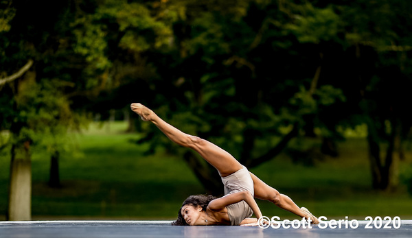BWW Previews: INAUGURAL FALL GATHERING OF DANCE at Red Rose Farm Image