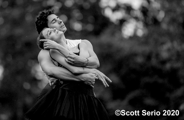 BWW Previews: INAUGURAL FALL GATHERING OF DANCE at Red Rose Farm Image