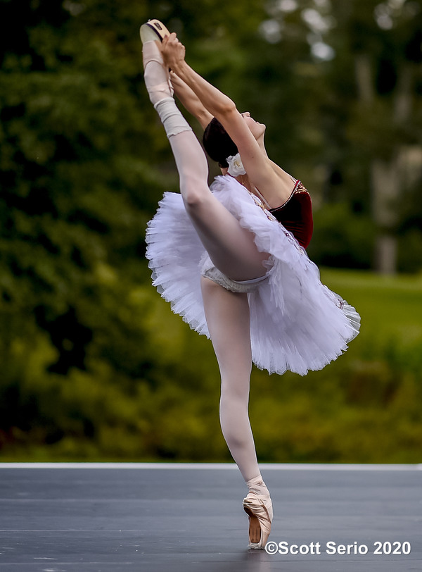 BWW Previews: INAUGURAL FALL GATHERING OF DANCE at Red Rose Farm Image