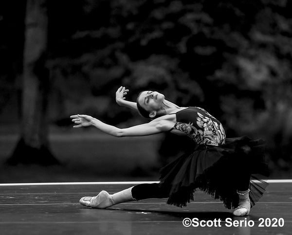BWW Previews: INAUGURAL FALL GATHERING OF DANCE at Red Rose Farm Image