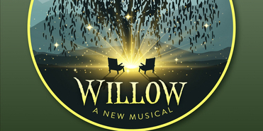 New York Theatre Barn Launches Theatre Barn Records & Releases 1st Album WILLOW Featuring Photo