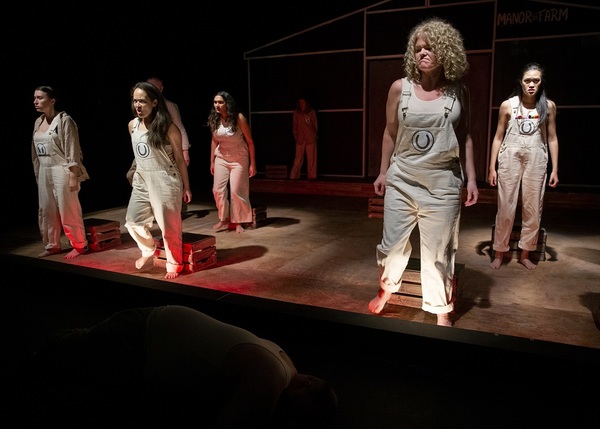 Photo Flash: First Look at New Theatre's ANIMAL FARM 