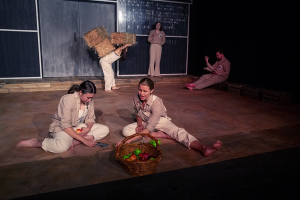 Photo Flash: First Look at New Theatre's ANIMAL FARM Image