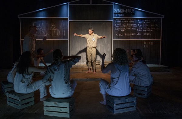 Photo Flash: First Look at New Theatre's ANIMAL FARM Image