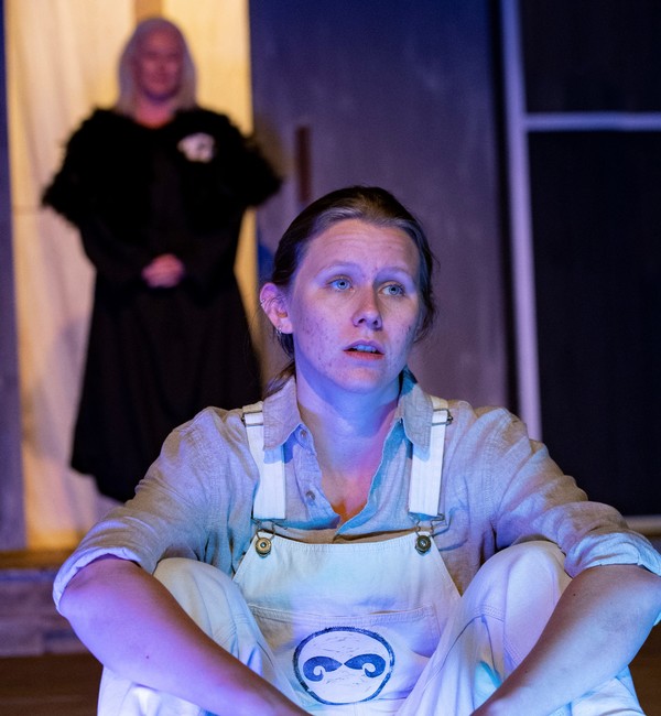 Photo Flash: First Look at New Theatre's ANIMAL FARM Image