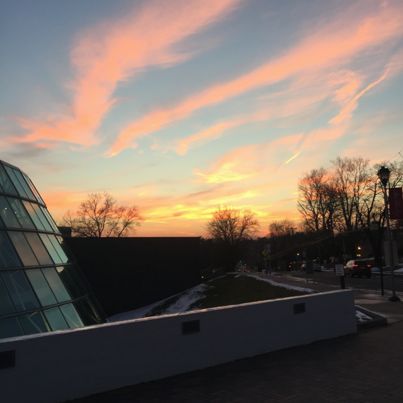 BWW Blog: Introducing Me! - Marissa Tomeo Image
