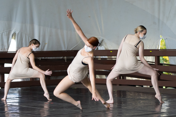 Photo Coverage: Inside New Vision Dance Company's #SAVETHEARTS SHOWCASE Image