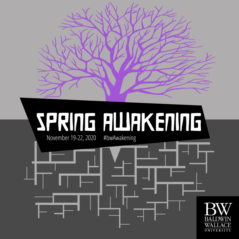 BWW Blog: Marketing SPRING AWAKENING Worldwide 