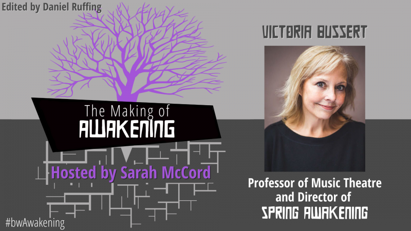 BWW Blog: Marketing SPRING AWAKENING Worldwide Image