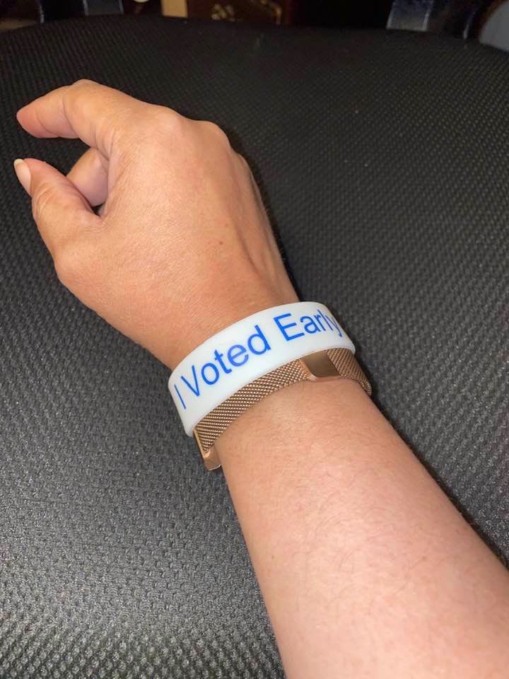 Feature: Cabaret and Concert Artists Flock To Polls For Early Voting Image