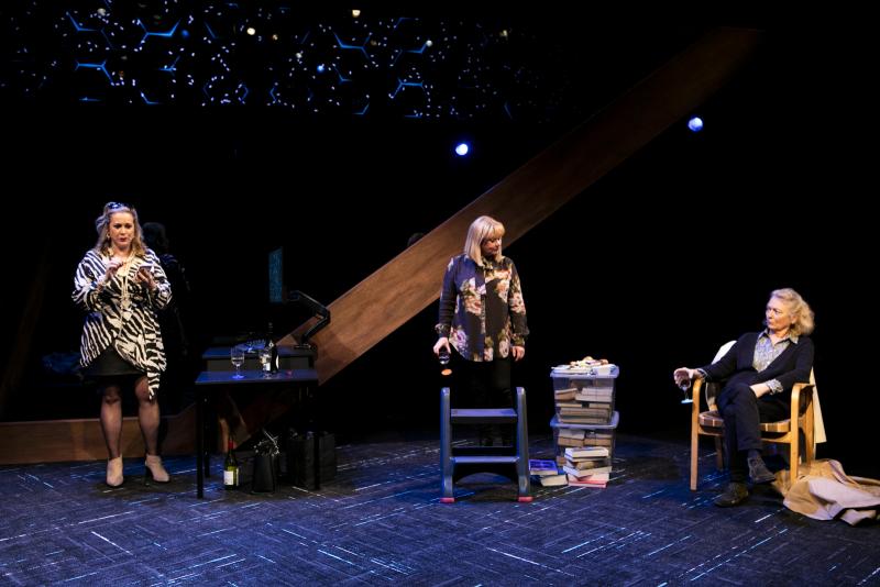Review: WICKED SISTERS is a complex contemporary study of survival of the fittest in the framework of the female experience. 