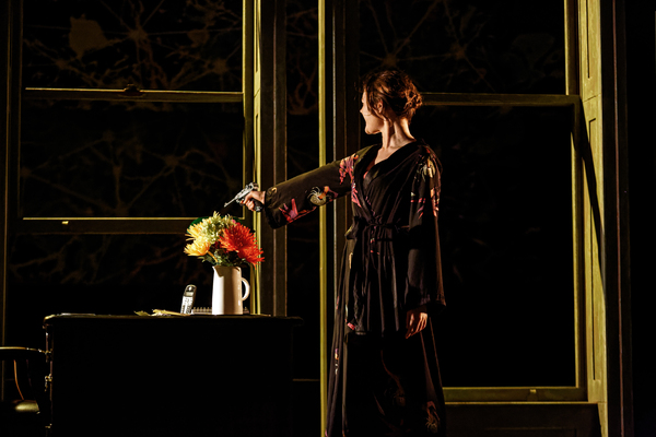 Photo Flash: First Look at HEDDA, Bristol Old Vic Theatre School's Live-Streamed Production Image