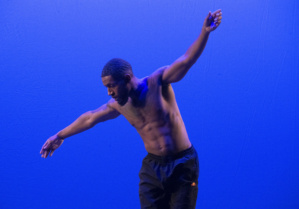Photo Flash: FIAF Presents Its First Le Petit Gala Outside The Box Soirée Image