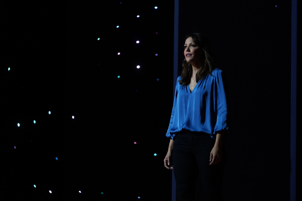 Photo Flash: First Look at Reunited Disney Casts in The Disney Holiday Singalong! Image