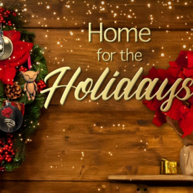What's Streaming? - BroadwayWorld's Definitive Guide for the Holidays Image