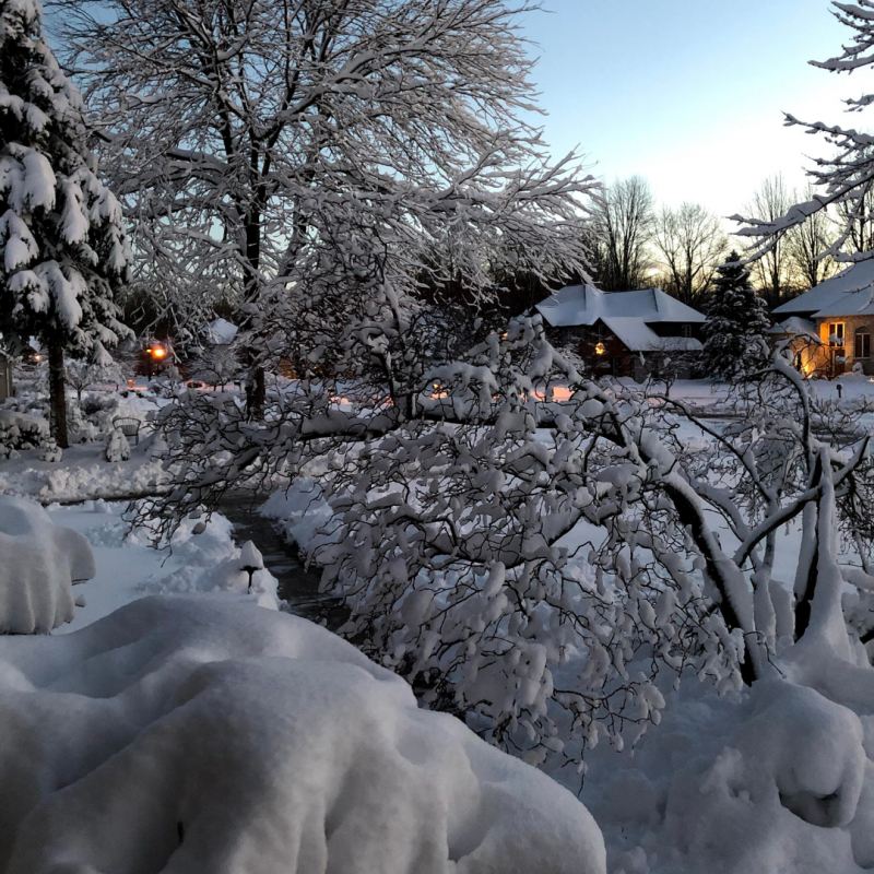 BWW Blog: Tackling Virtual, Remote Finals - Frosty's World #5 Image