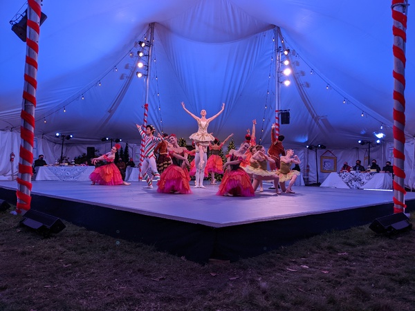 Photo Flash: First Look at THE NUTCRACKER at Wethersfield Image
