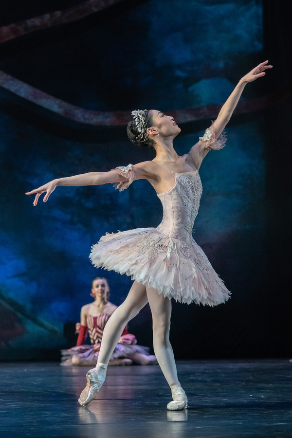 Photo Flash: Check Out Birmingham Royal Ballet's NUTCRACKER AT THE REP  Image