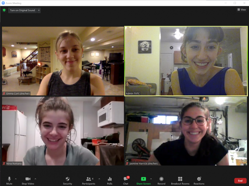 BWW Blog: The Virtual Theatre Co. – Four Months In Image