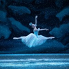 BWW Review: NEW YORK CITY BALLET'S THE NUTCRACKER, David H. Koch Theater, Lincoln Photo