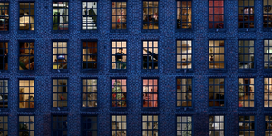 The Forest of Arden Releases New Song 'Next Christmas' Video