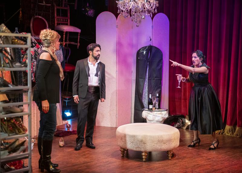 Interview: Maya Kherani of THREE DECEMBERS at Opera San Jose Brings a Complex Terrance McNally Character to Life  Image
