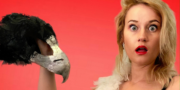 BIRD BE CRAZY Comes to Adelaide Fringe Photo