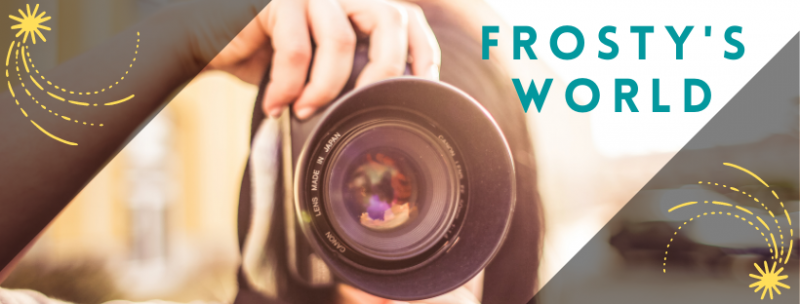 BWW Blog: The Generosity of the Arts Community is All Around Us - Frosty's World #7 Image