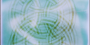 Galerie Frank Elbaz Announces The Selection Of Ketuta Alexi-Meskhishvili For The Louis Roe Photo