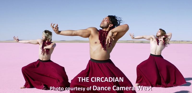 Interview: Kelly Hargraves Deftly DRIVEs IN Her DANCE CAMERA WEST Image
