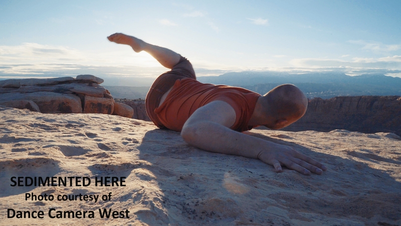 Interview: Kelly Hargraves Deftly DRIVEs IN Her DANCE CAMERA WEST Image