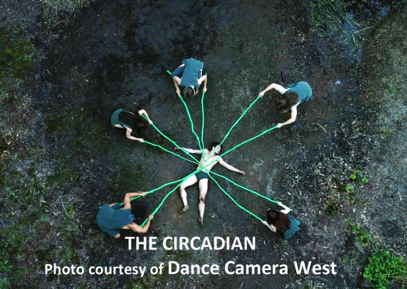 Interview: Kelly Hargraves Deftly DRIVEs IN Her DANCE CAMERA WEST  Image