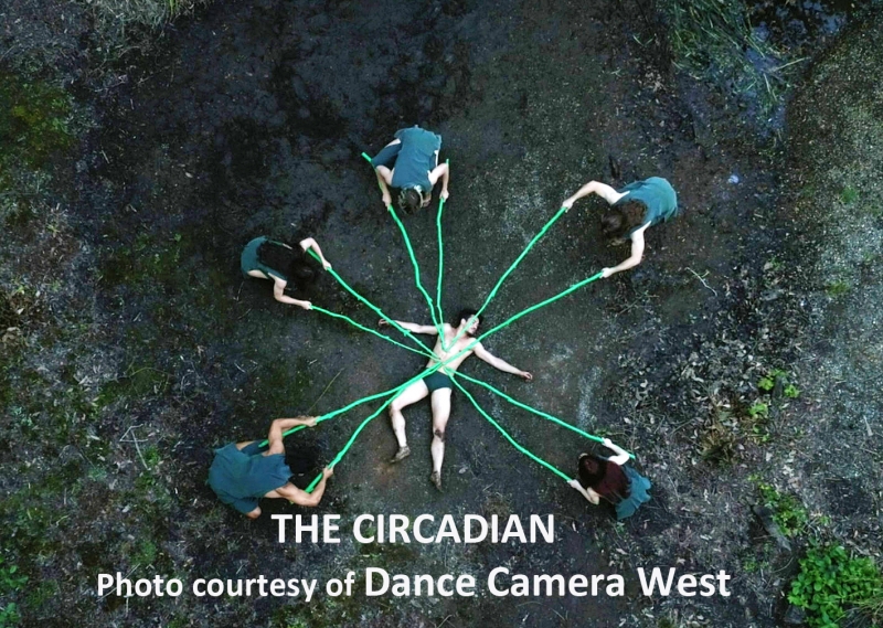 Interview: Kelly Hargraves Deftly DRIVEs IN Her DANCE CAMERA WEST Image