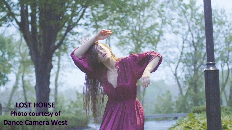 Interview: Kelly Hargraves Deftly DRIVEs IN Her DANCE CAMERA WEST Image
