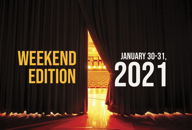 Virtual Theatre This Weekend: January 30-31- with Barrett Foa, Lesli Margherita and More!  Image