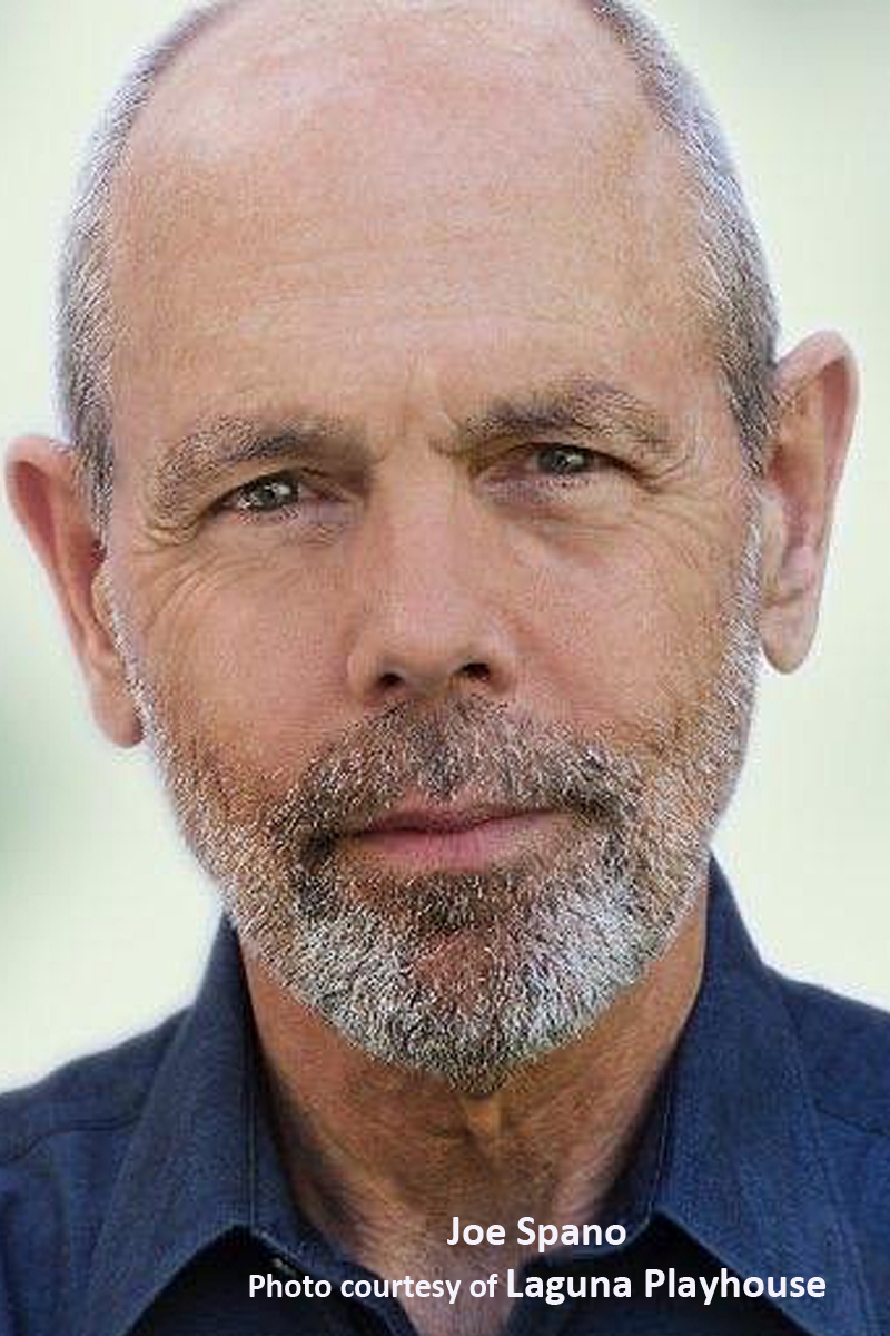 Interview: Emmy-Winner Joe Spano Always Returning To His Theatrical Roots Image