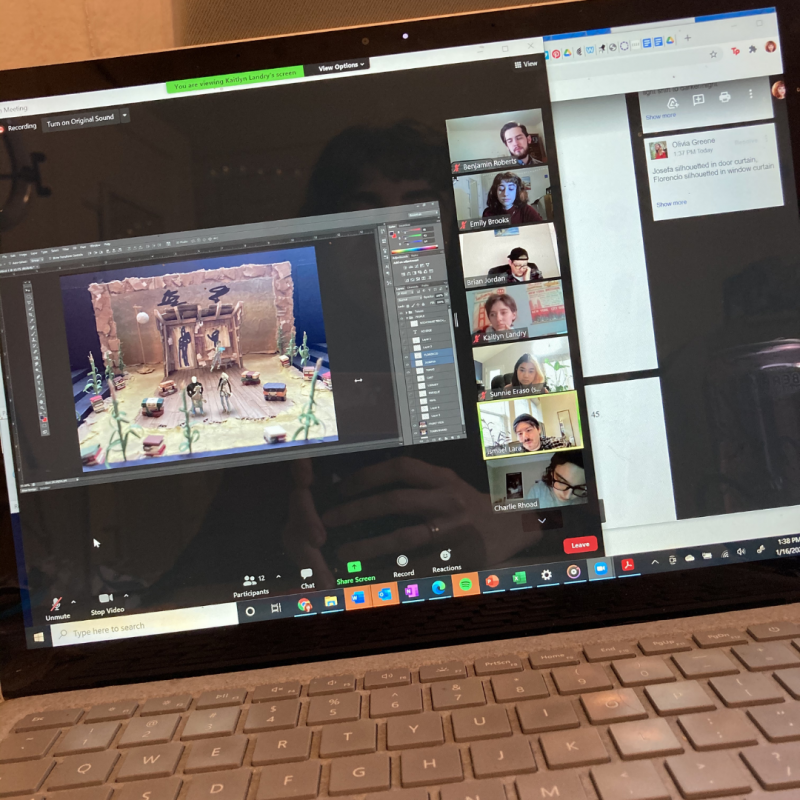 BWW Blog: Beyond Zoom Plays Image