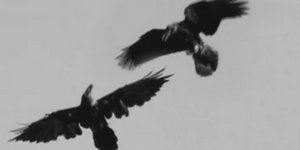 BWW Review: LA Opera's DIGITAL SHORT DEATH Now Streaming