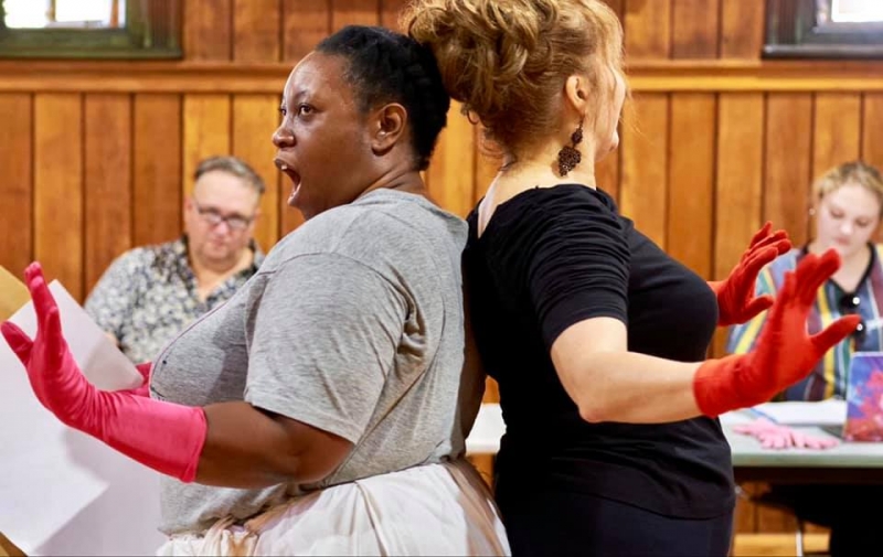 A Conversation with the Cast of THE REVOLUTIONISTS Image