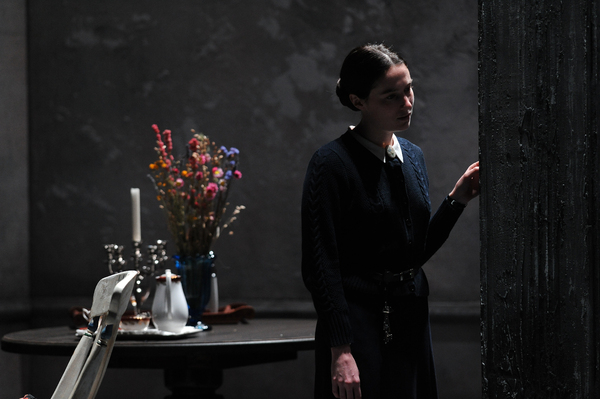 Photo Flash: First Look at Druid's THE CHERRY ORCHARD Available Free to Stream on Demand Image