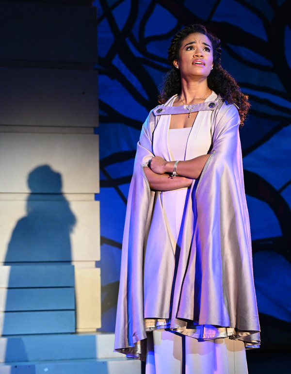 Photo Flash: Get a First Look at Asolo Repertory Theatre's CAMELOT Image