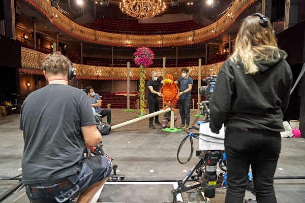 Photo Flash: Go Inside Rehearsals for The Old Vic: In Camera's THE LORAX Image