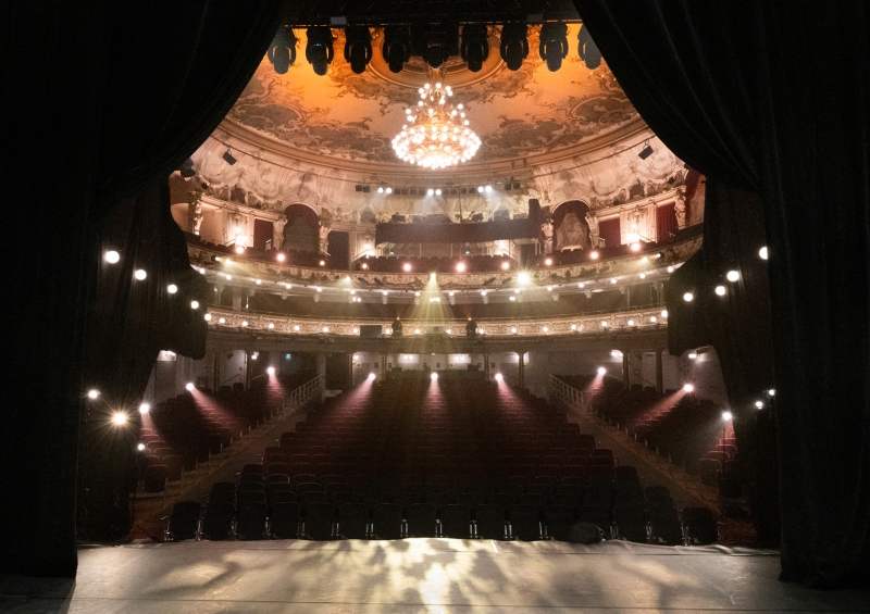 BWW Previews: THE GREAT VBW CONCERT-WE PLAY FOR AUSTRIA at Recorded At The Ronacher Theatre Vienna Image