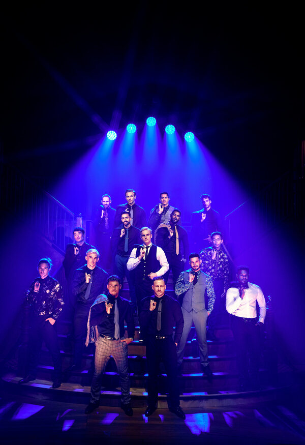 Photo Flash: First Look at the Australian Cast of MAGIC MIKE LIVE Image