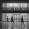 VIDEO: Watch New York City Ballet's WHEN WE FELL & Behind The Scenes Documentary Photo