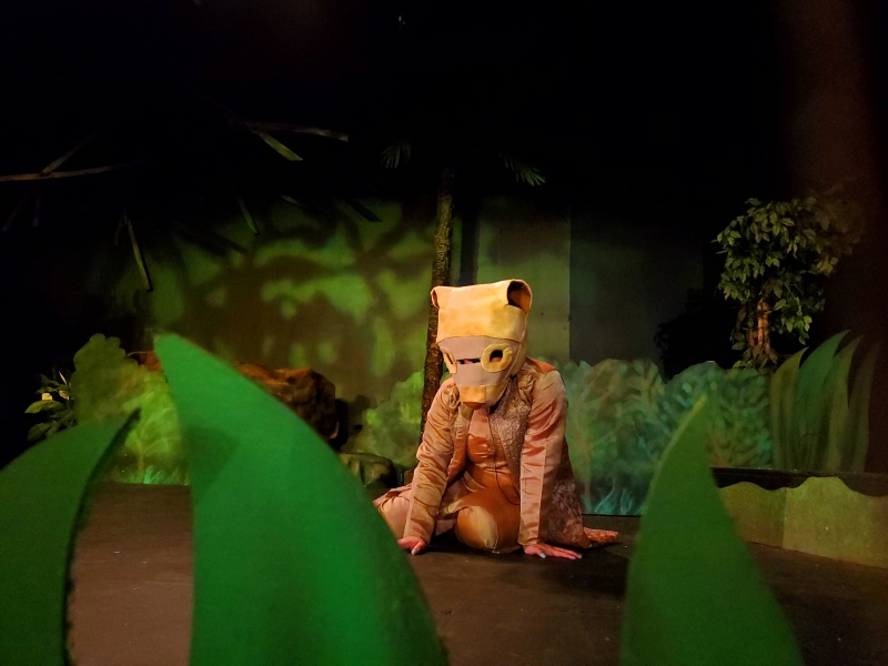 An Interview with Director Adam Bryan about RIKKI TIKKI TAVI, Opening This Weekend at THE ALBAN ARTS CENTER! Image